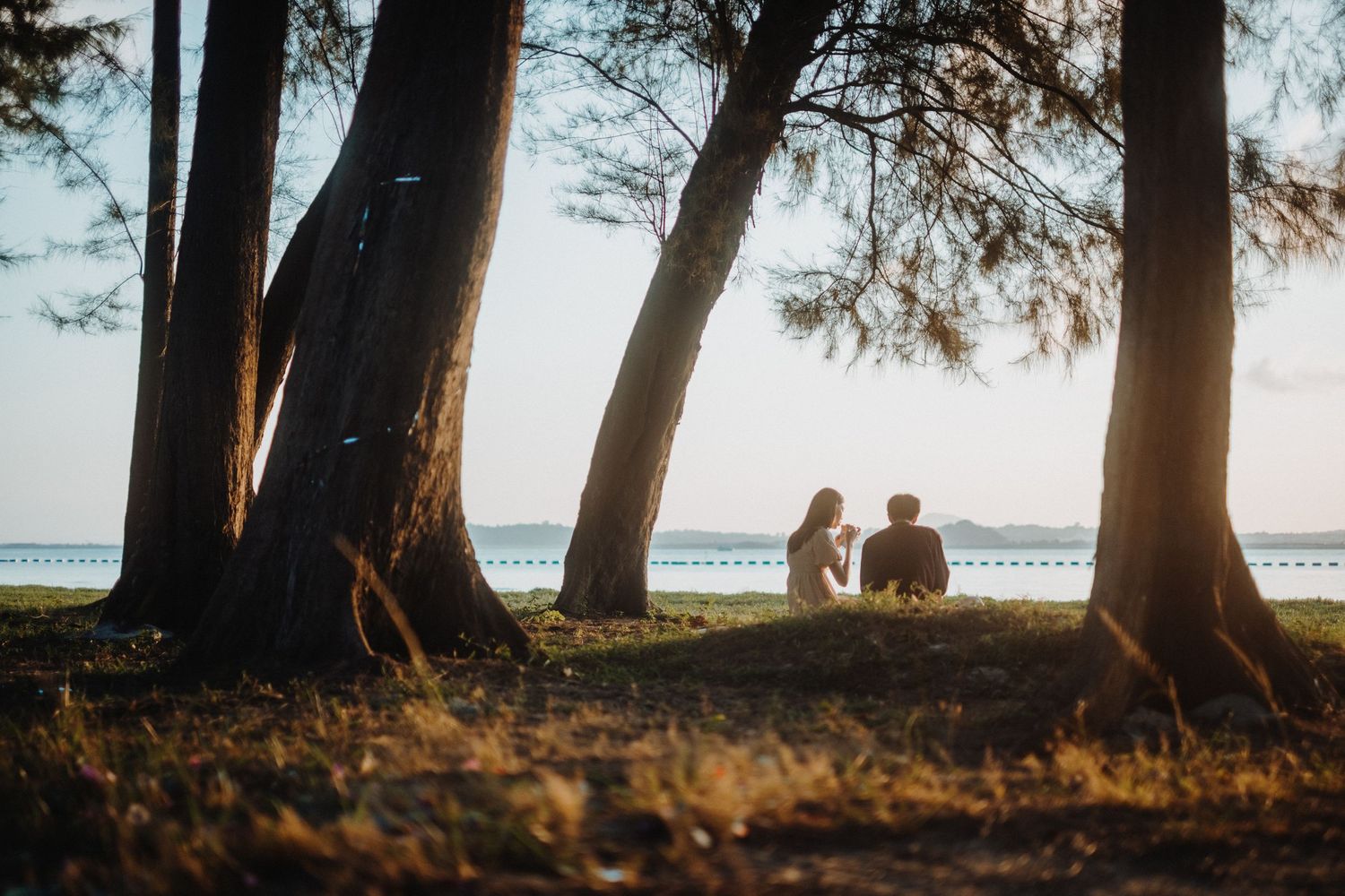 Scenic beach landscape with tall trees casting long shadows as sunlight filters through at golden hour.