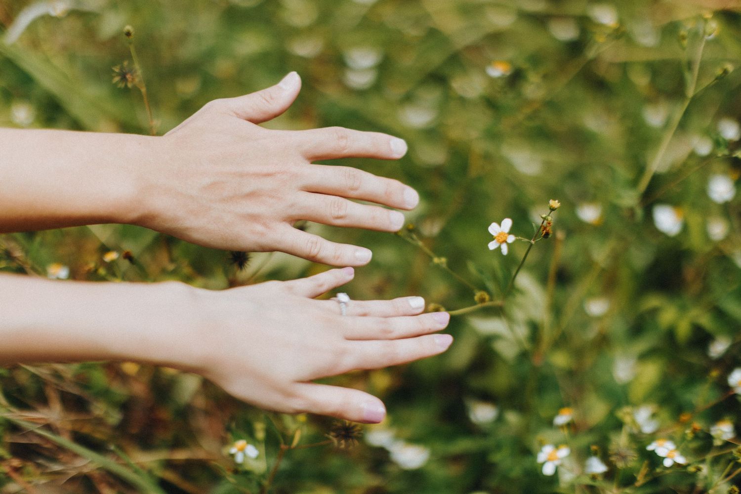 Outstretched hands reaching toward small white wildflowers in a green garden setting.