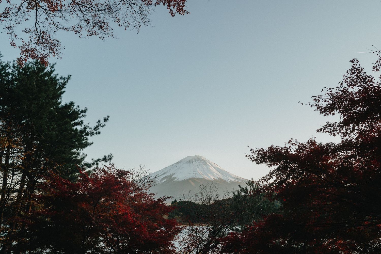Mountain peak visible through vibrant red autumn foliage against a blue sky.