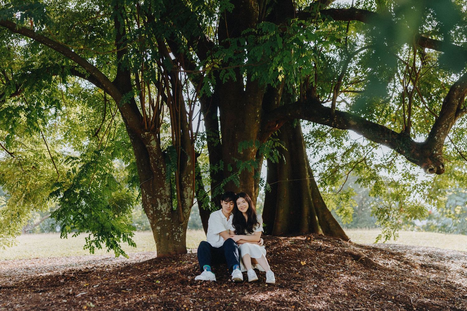 A couple sitting together under large shady trees in a park setting.