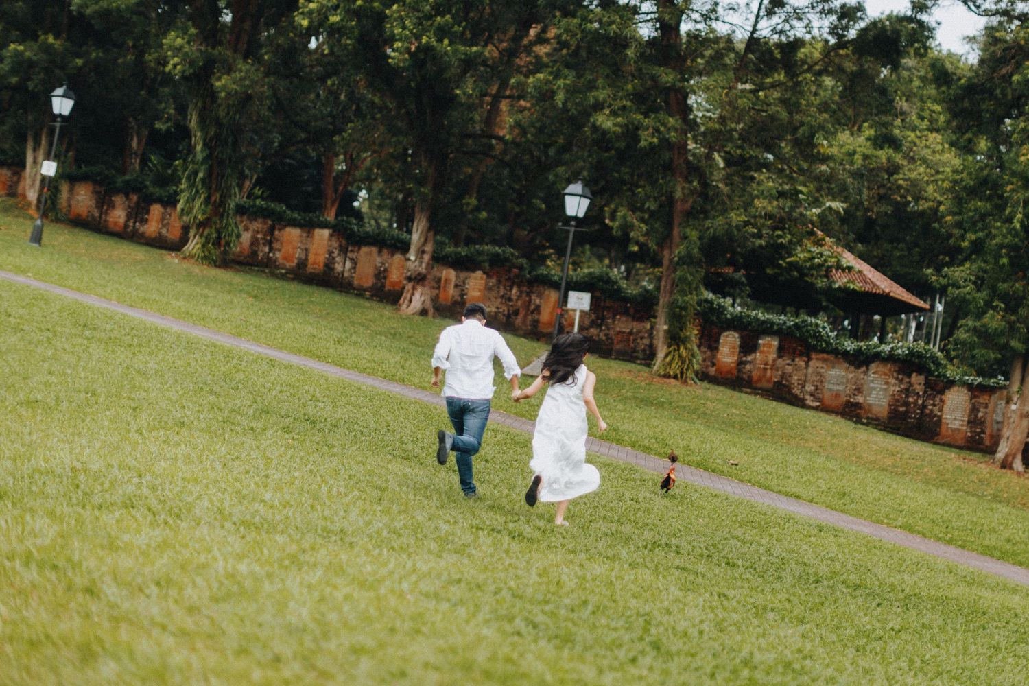 People walking on a grass field in a park with trees and bushes in the background on a sunny day.