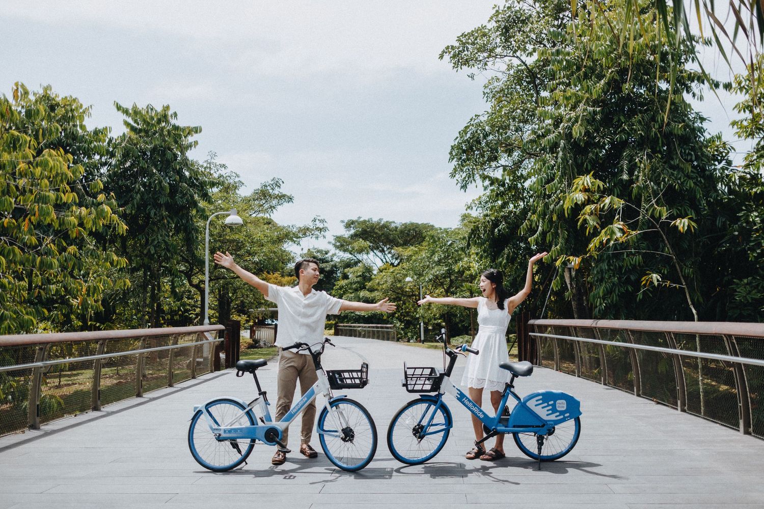Blue bikes parked on a wooden boardwalk path surrounded by lush greenery.