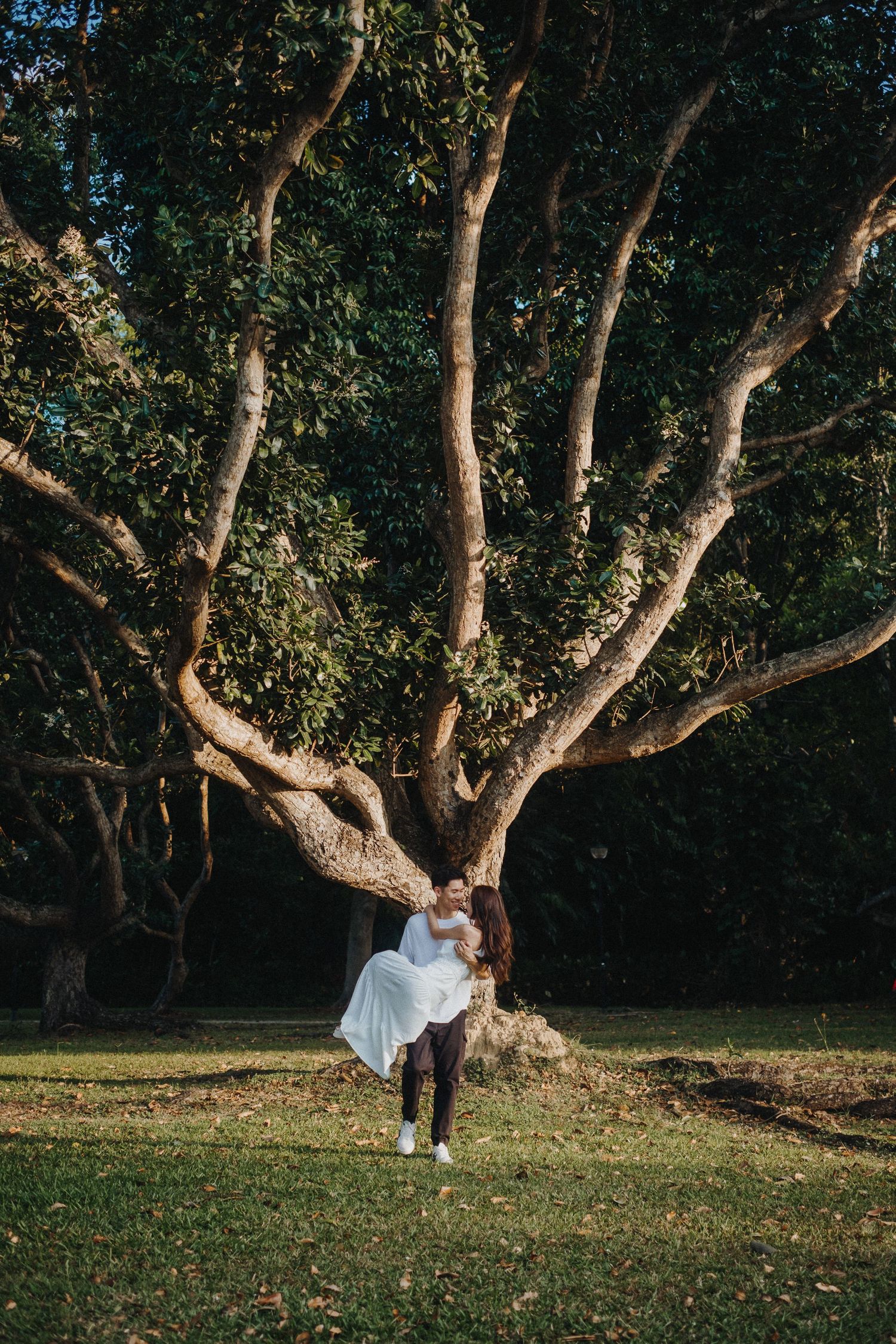 A couple shares a romantic moment under a sprawling tree in a park setting.
