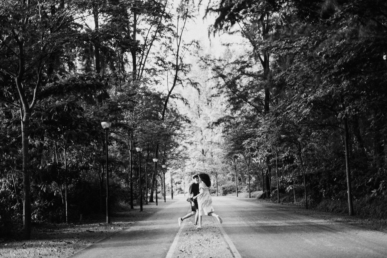 Tree-lined paths converge in a black and white landscape photo.
