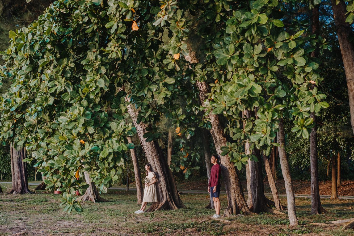 Couple embracing in a lush green forest setting during a photo session.