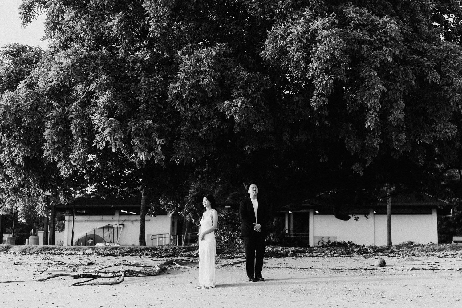 A couple stands in black and white on a beach beneath large trees.