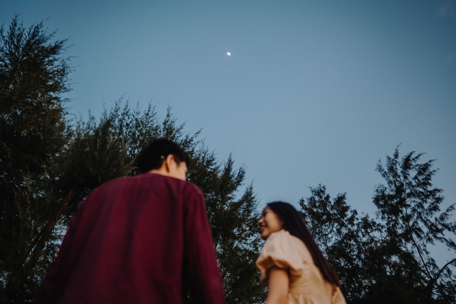 Two figures stand silhouetted against a blue dusk sky with a visible moon and trees in the background.