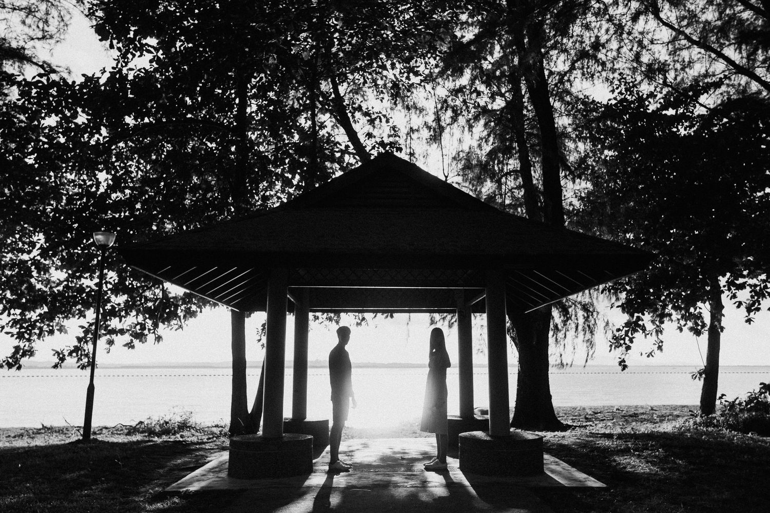 Silhouetted trees frame a tranquil waterfront scene in panoramic view.