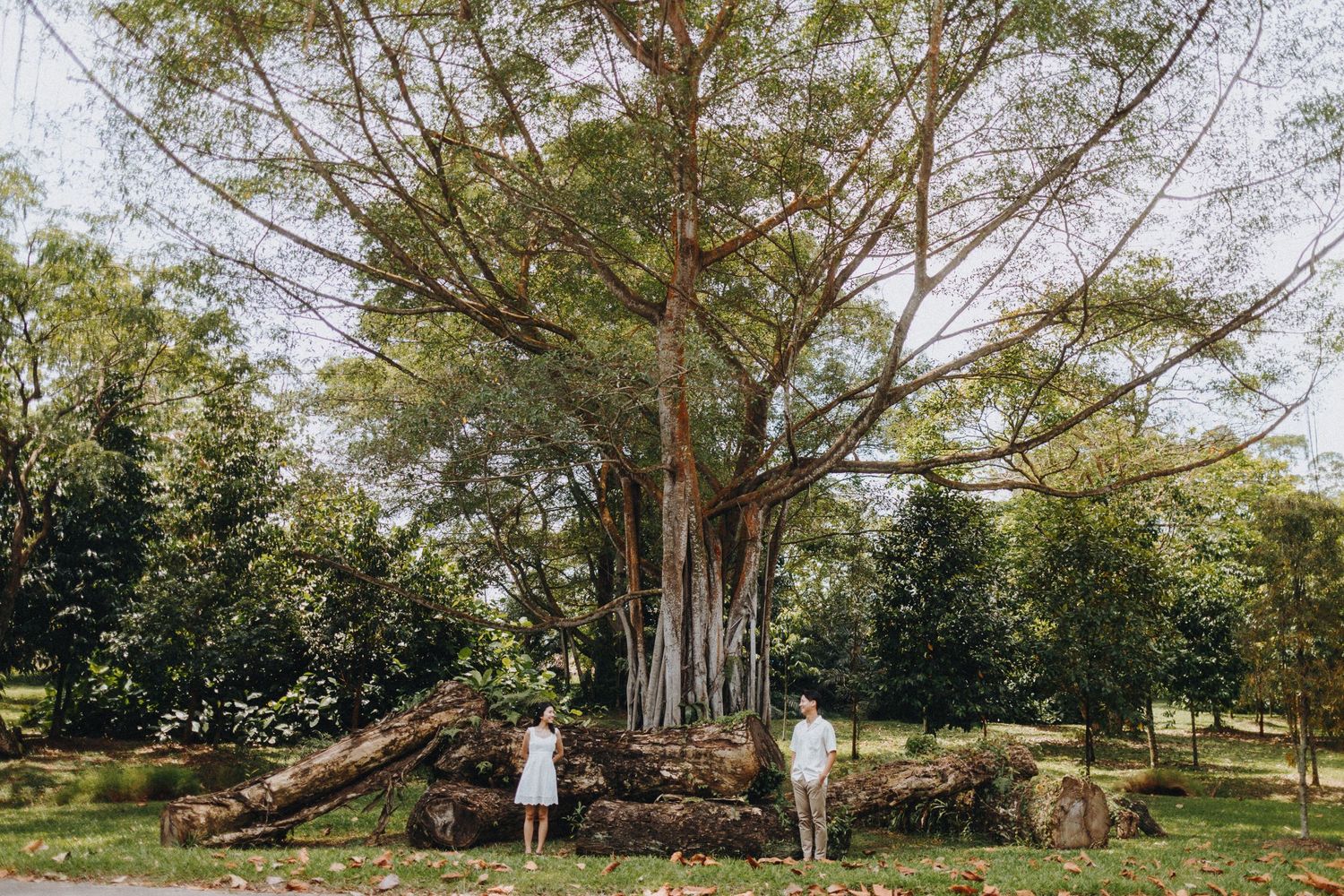 Two people pose beside a massive banyan tree in a lush green park setting.