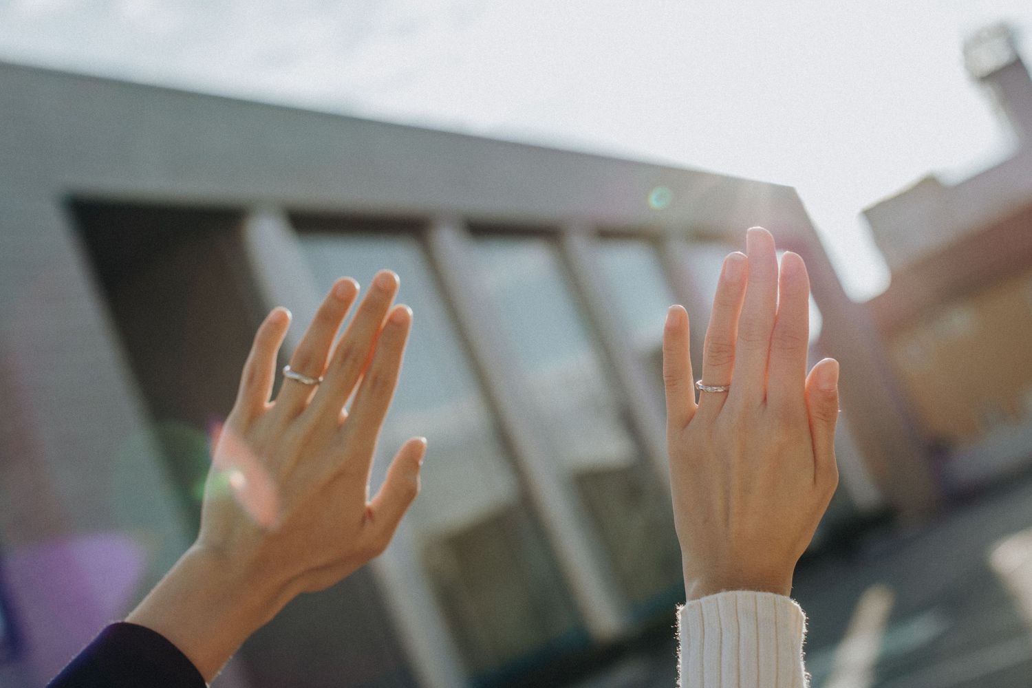Multiple raised hands reaching upward against a bright background.
