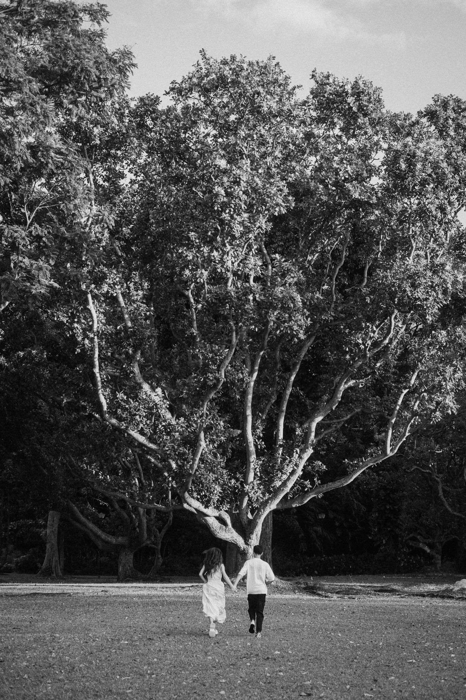 A couple walks hand in hand toward a large tree in a black and white photograph.