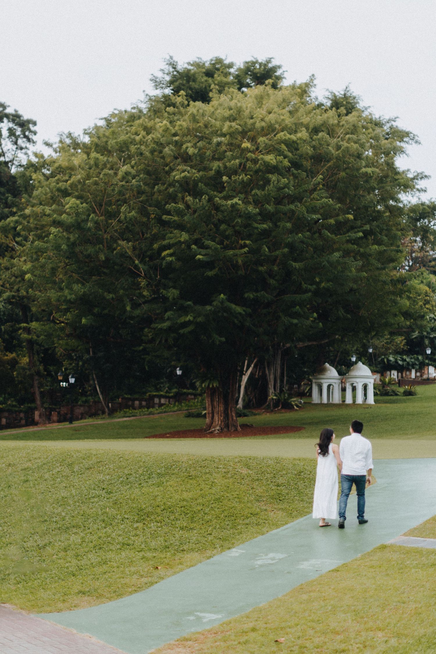 A couple in white attire walks along a green path under a large leafy tree in a park.