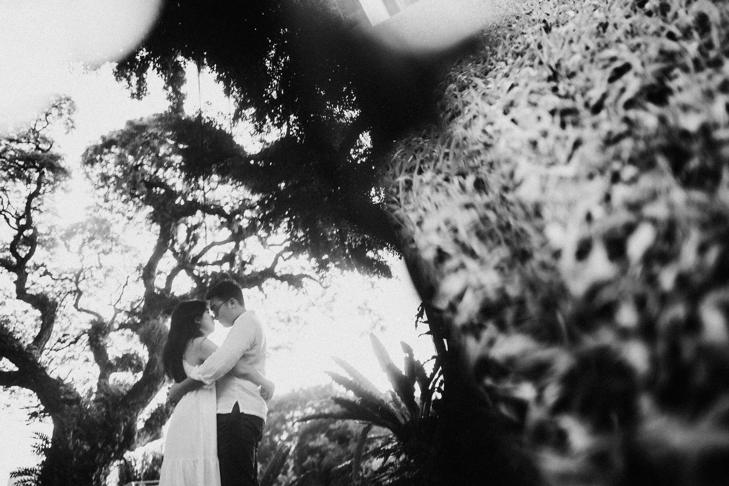 An artistic black and white silhouette photo of a couple framed by tree branches and sunlight.