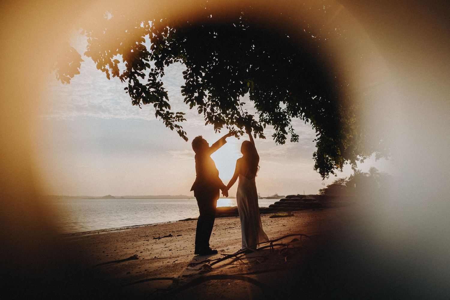 A couple stands in silhouette at sunset, framed by an overhanging tree branch.