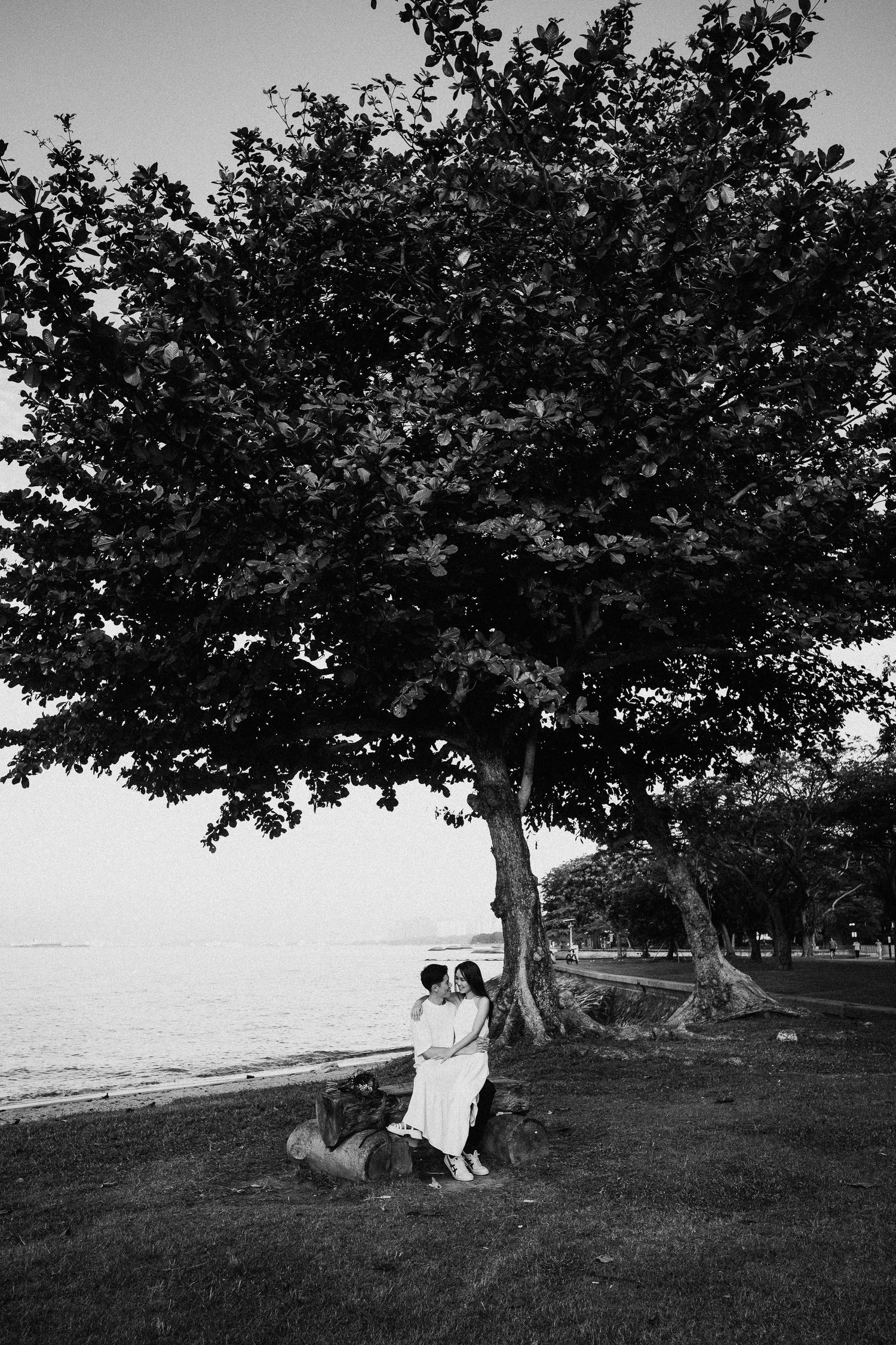 A black and white photo of a couple sitting under a tree by the seaside.
