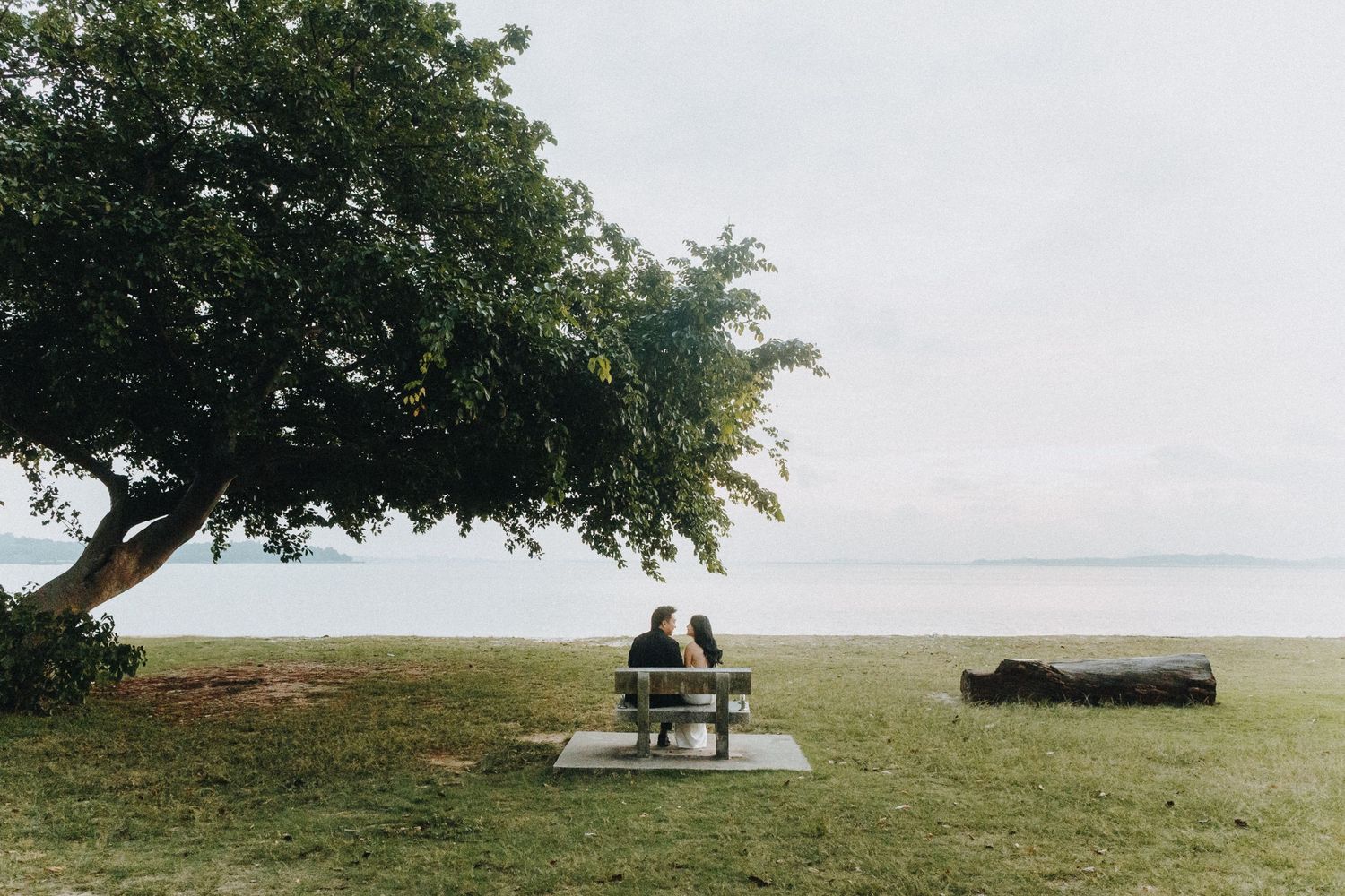 Panoramic landscape view of a seaside park with benches and trees.
