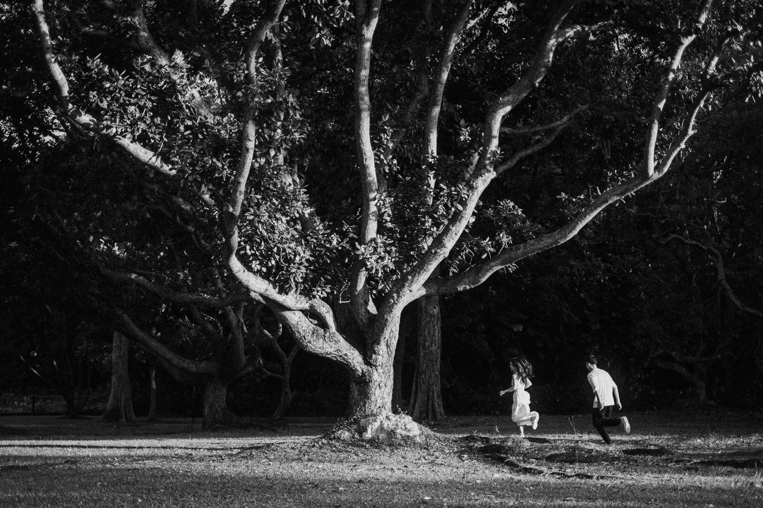 A dramatic black and white shot of people walking near a gnarled tree in a forest.