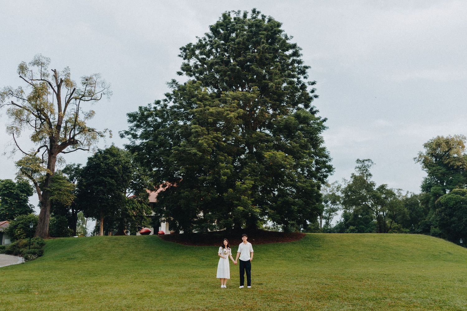 Two people stand together on a lush green hillside beneath tall trees on an overcast summer day.