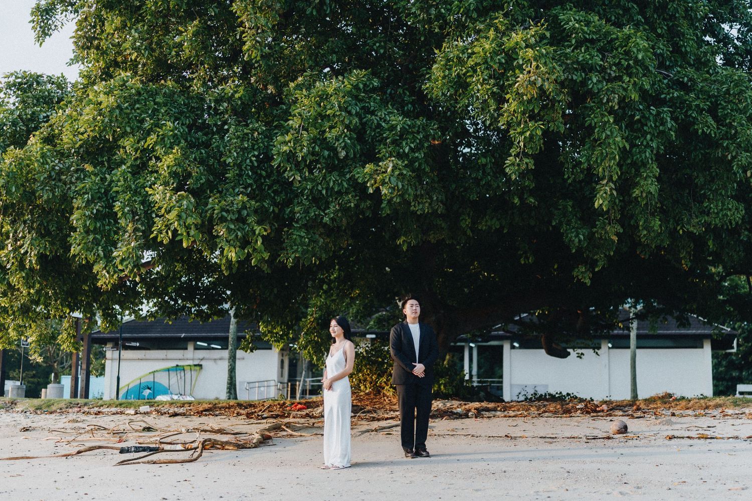 A couple stands together on a beach beneath towering green trees.