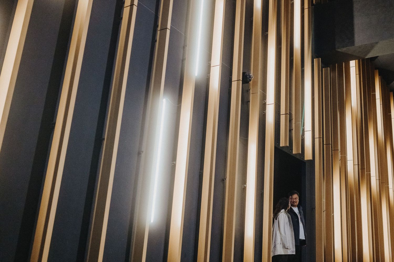 Modern architectural interior featuring vertical metal and glass panels with dramatic lighting effects.