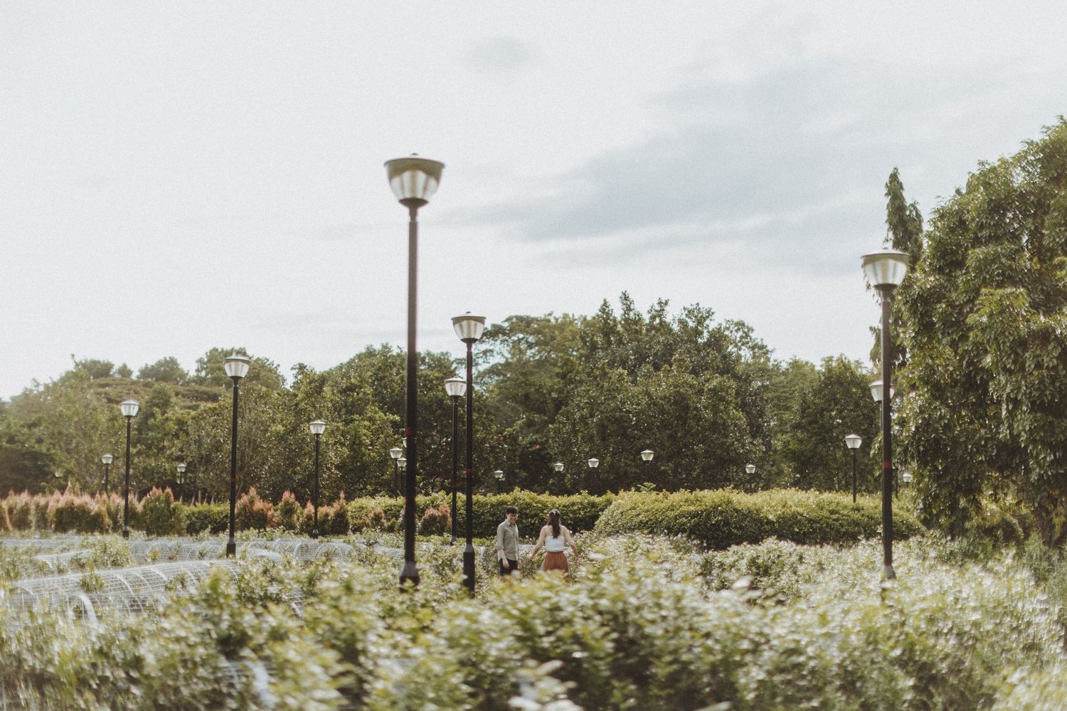 Scenic park pathway with ornate lampposts and wildflowers growing among natural landscaping.