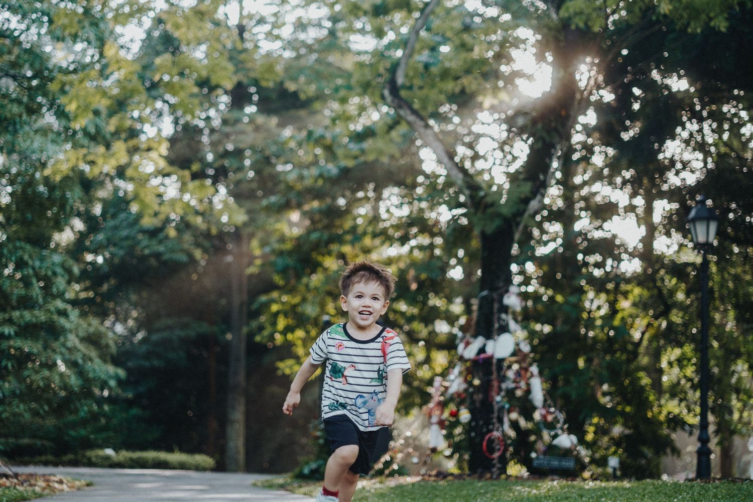 Child running and jumping through autumn trees in a park with golden sunlight streaming through the branches.