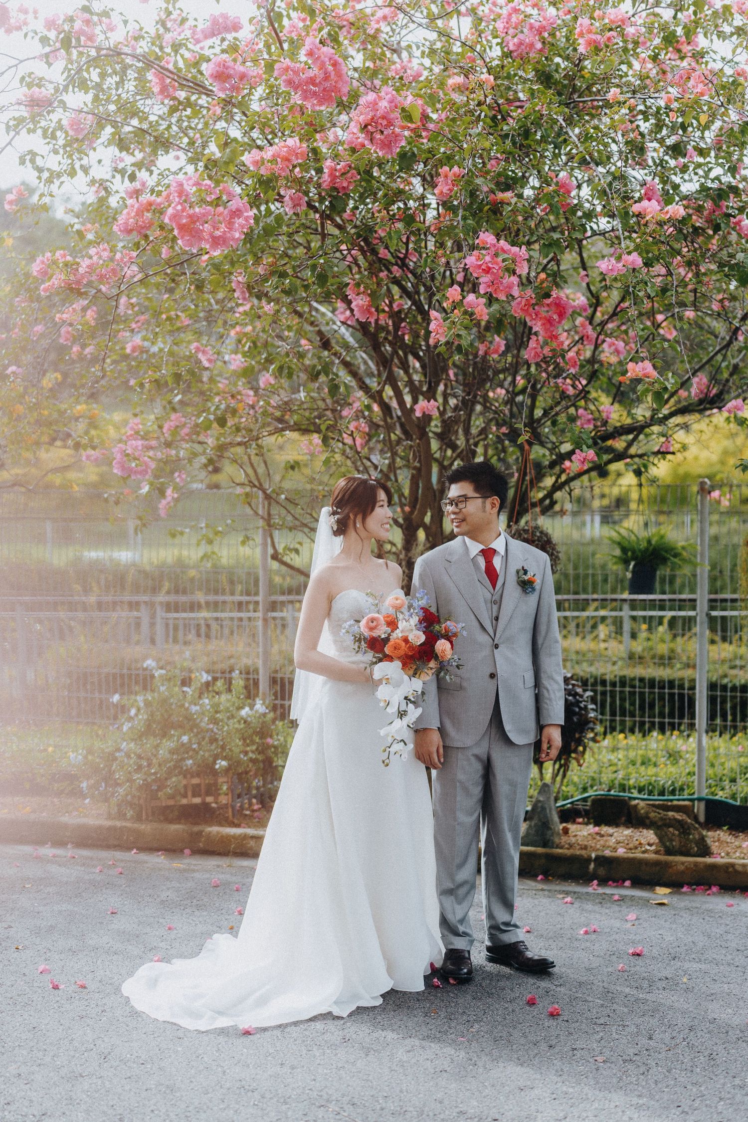 Newlyweds pose under blooming pink bougainvillea trees in an outdoor setting.