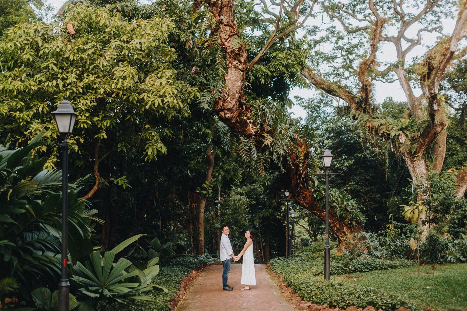 Two figures in white walk hand in hand down a scenic garden path surrounded by lush trees and tropical foliage.
