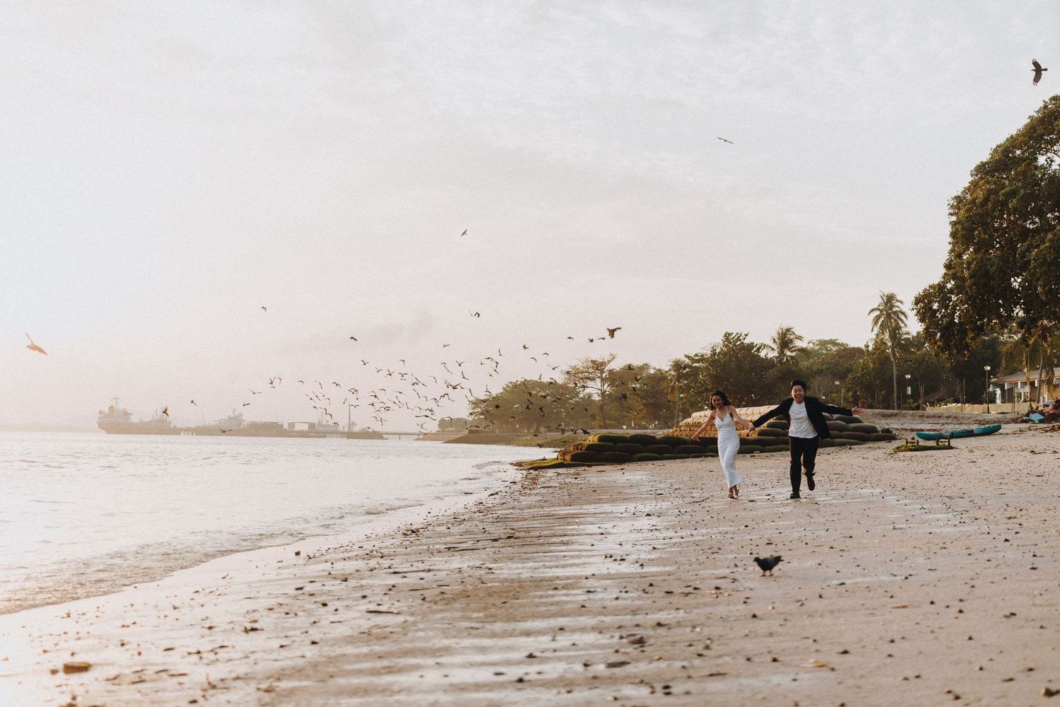 A couple walks along a misty beach shore with birds flying overhead.