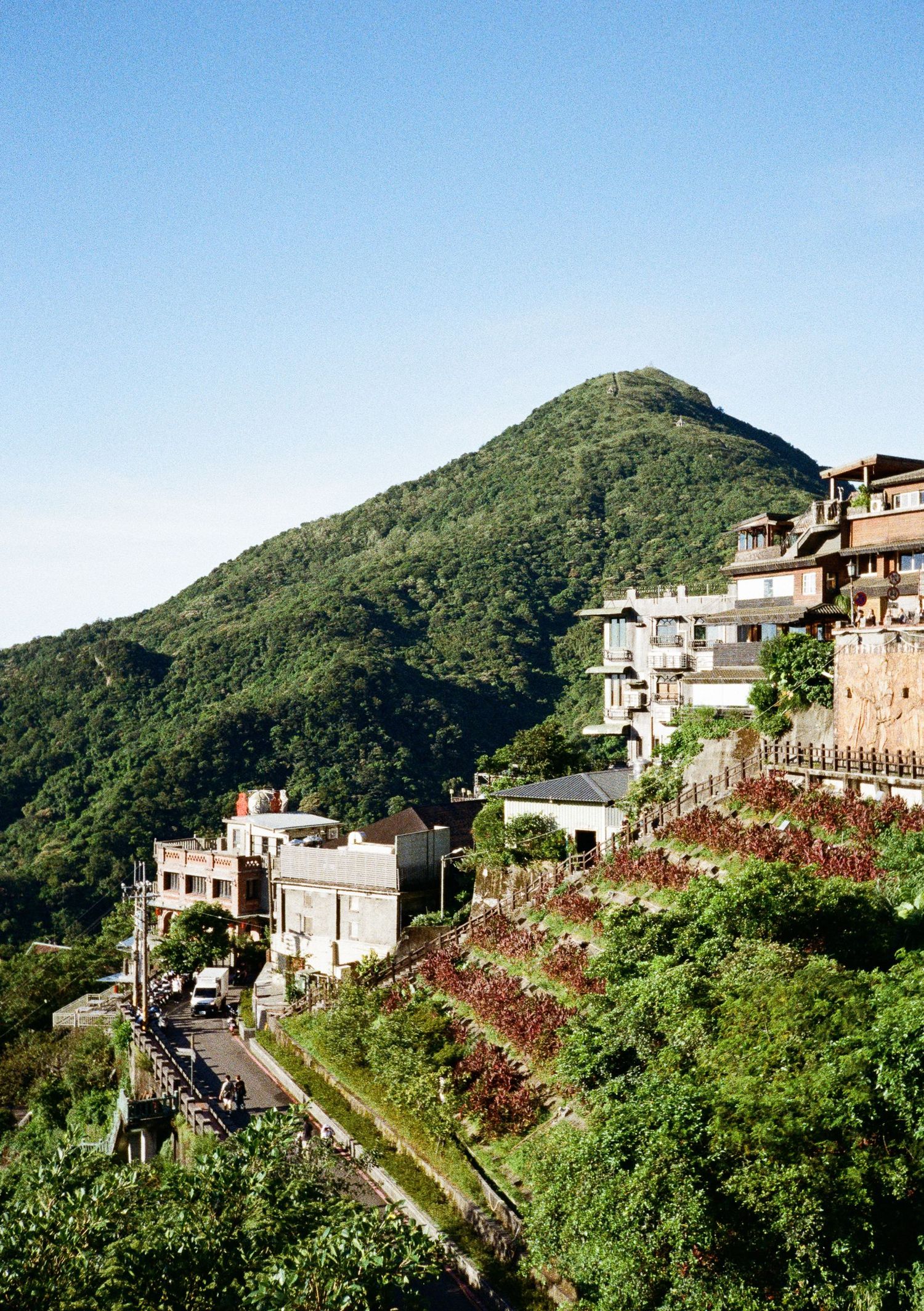 Mountain village with houses perched along winding road surrounded by verdant slopes and flowering trees.