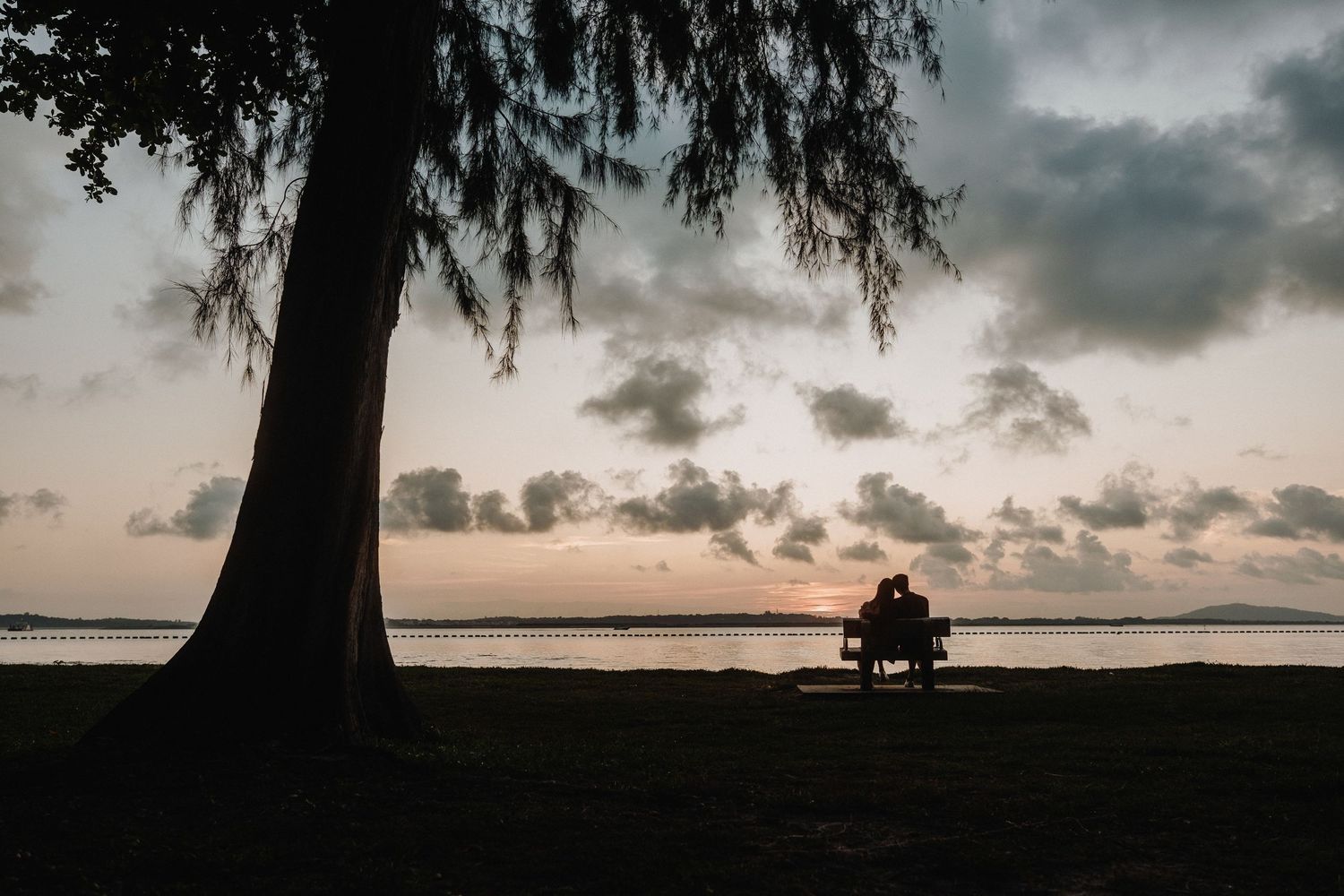 A silhouetted tree stands against a dramatic sunset sky with clouds creating a moody atmospheric landscape.