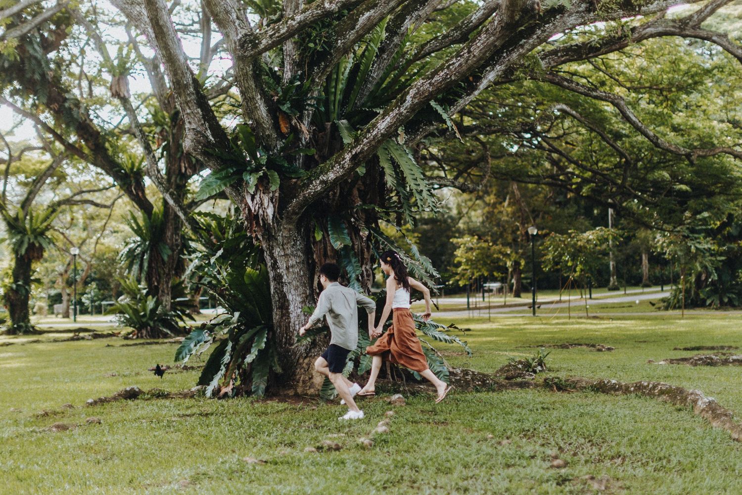 Colorful paper airplanes scattered across a sunny green lawn under shady trees.