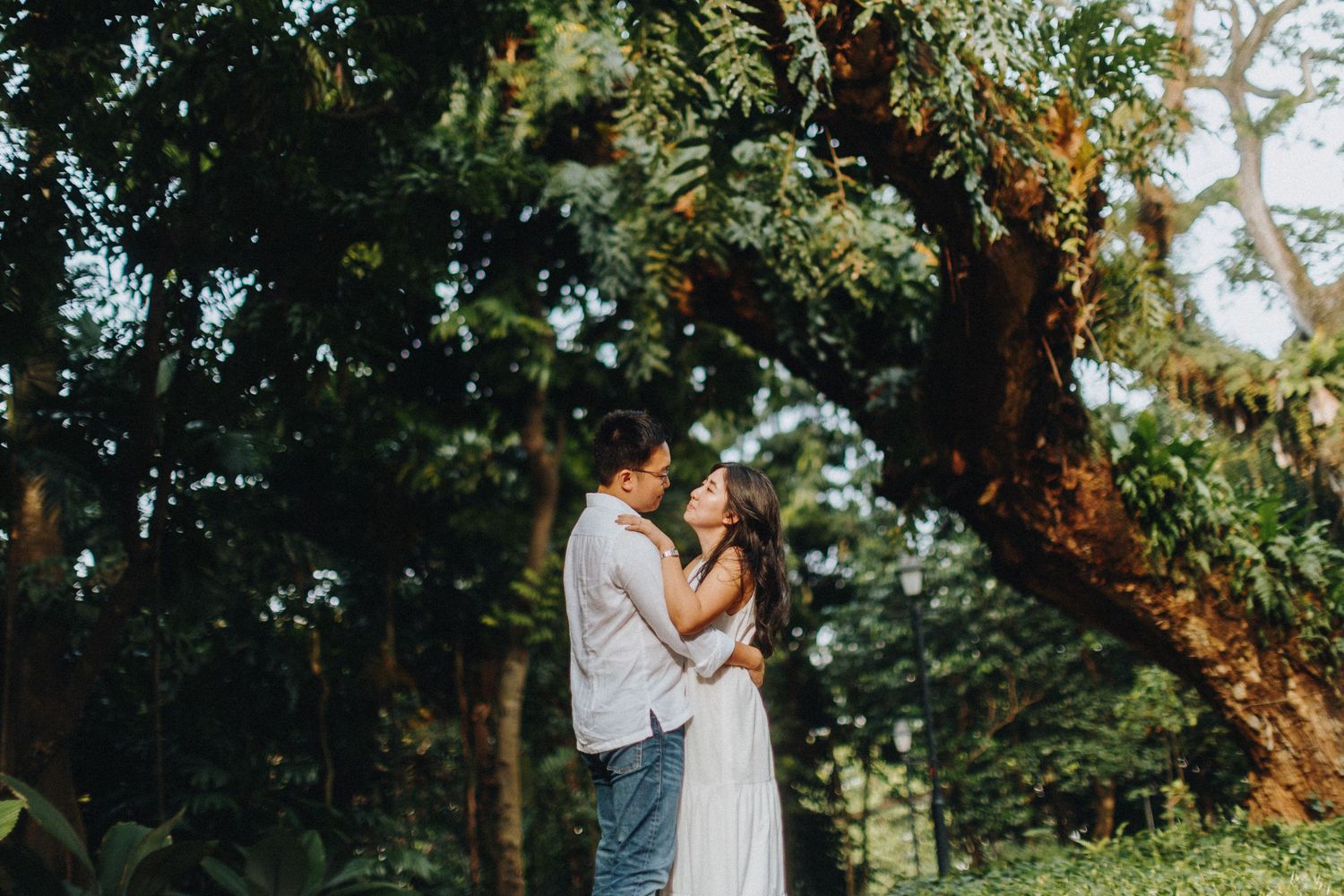 A couple embraces under a large tree during an outdoor photoshoot.