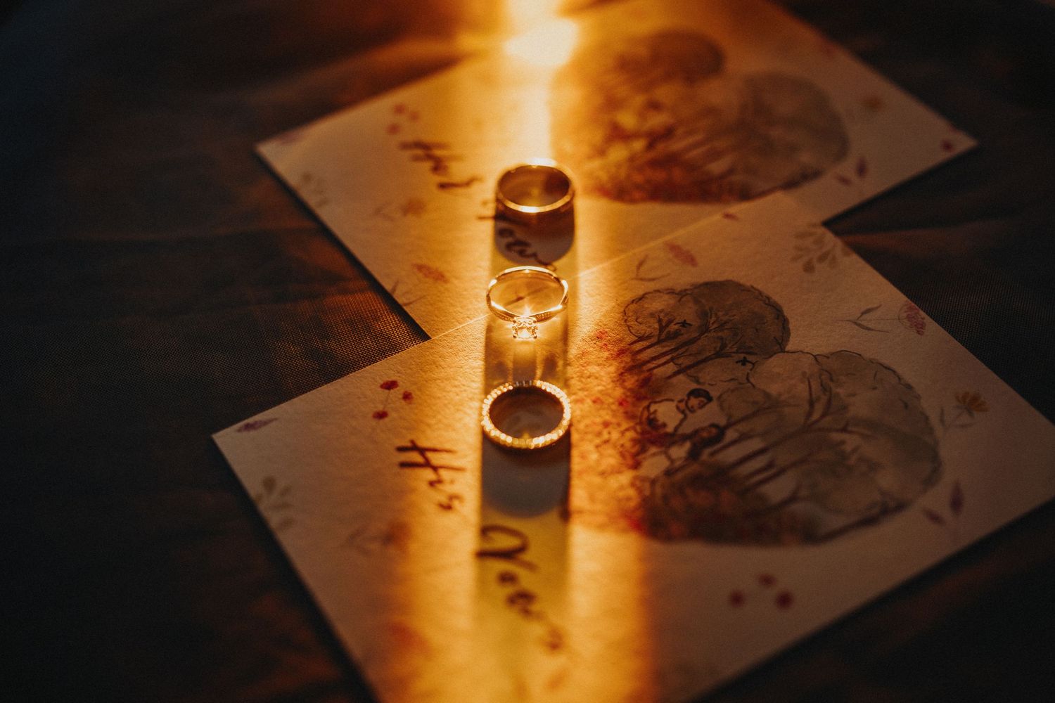 Two golden wedding rings casting dramatic shadows on paper money in warm lighting.
