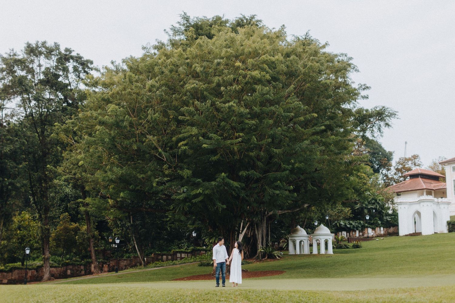 Two people walk beneath a large green tree on a manicured lawn near a white building on a sunny day.