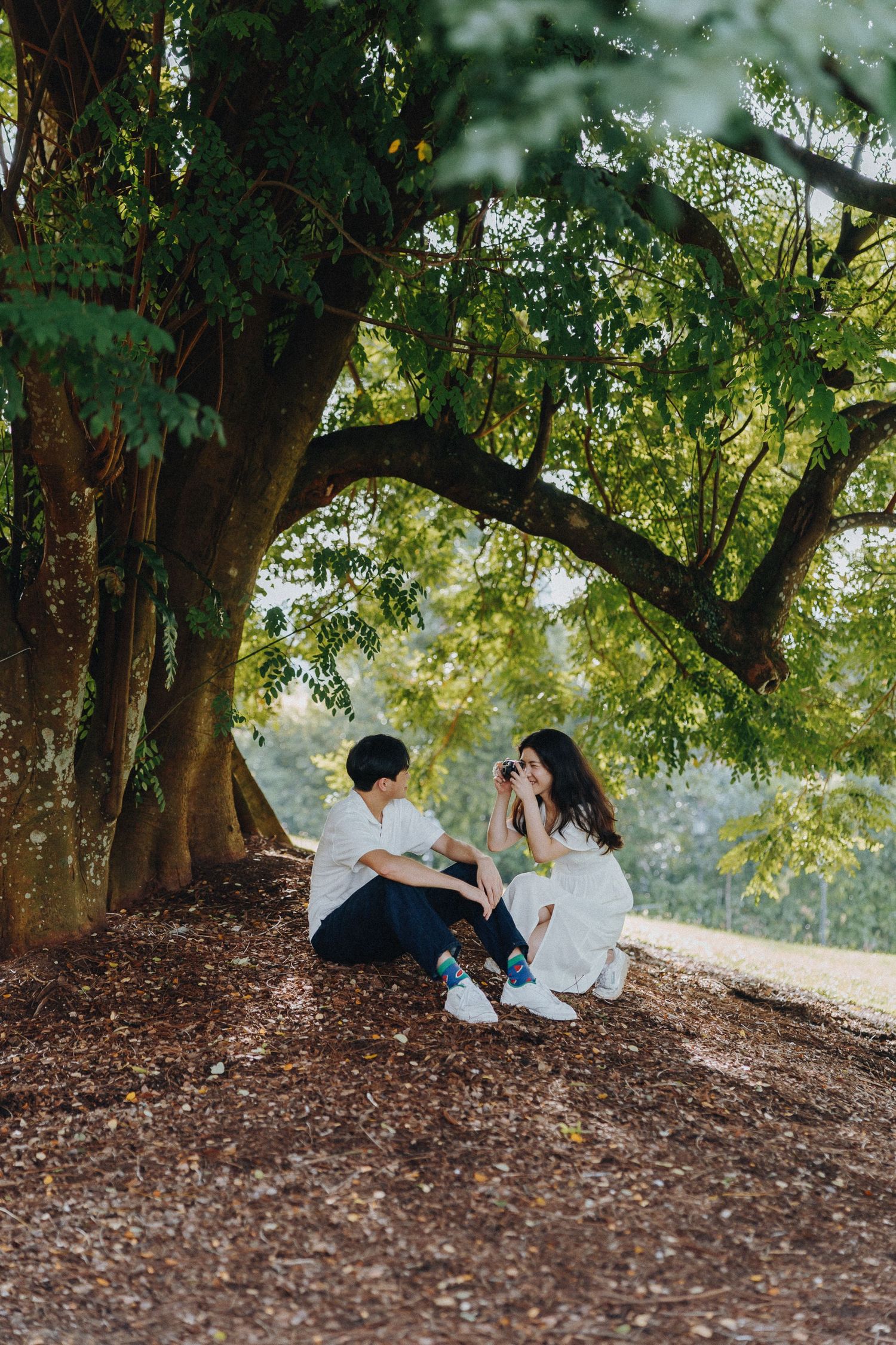 A romantic scene under a large tree with dappled sunlight filtering through branches.
