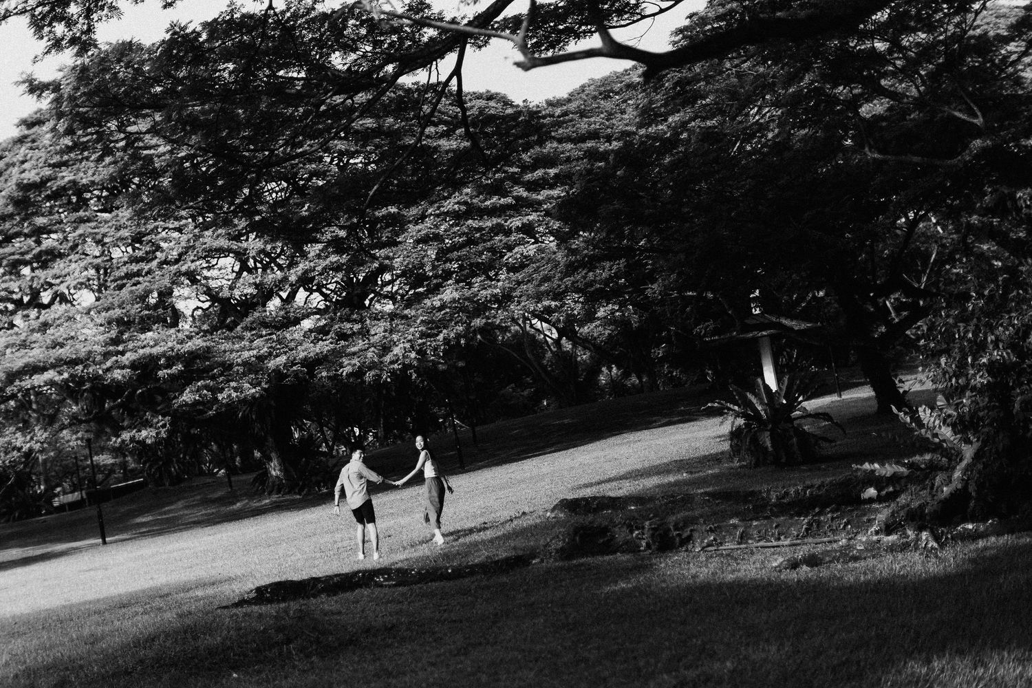 Two people stroll along a winding path beneath sprawling trees in this black and white photograph.