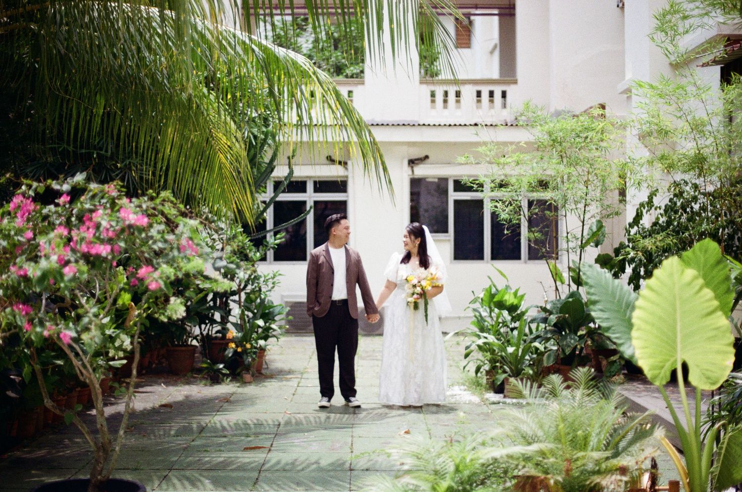 Lush tropical garden pathway with palm trees and flowering plants bordering a walkway.