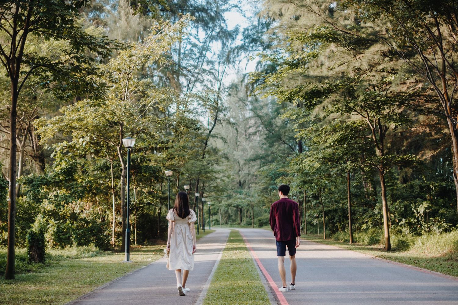 A peaceful walking path winding through a lush green park.