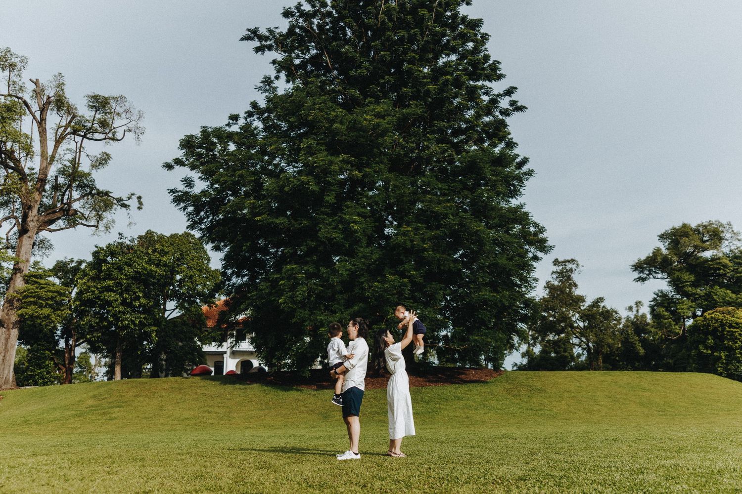A couple celebrates their special moment on a lush hilltop with towering trees in the background.