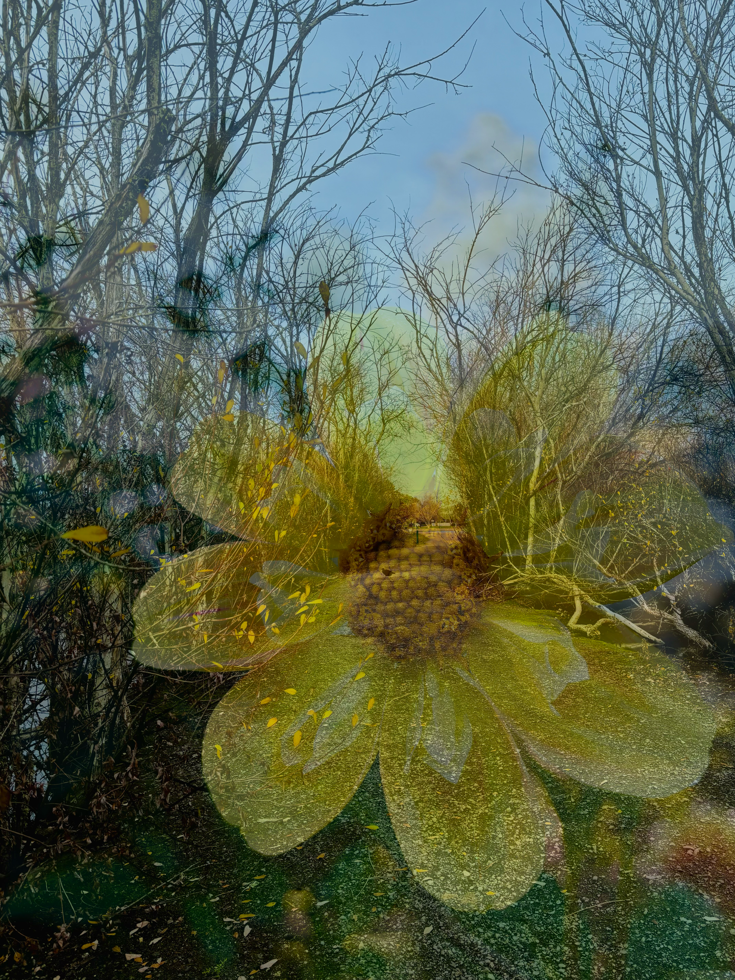On the edge of the lake #1