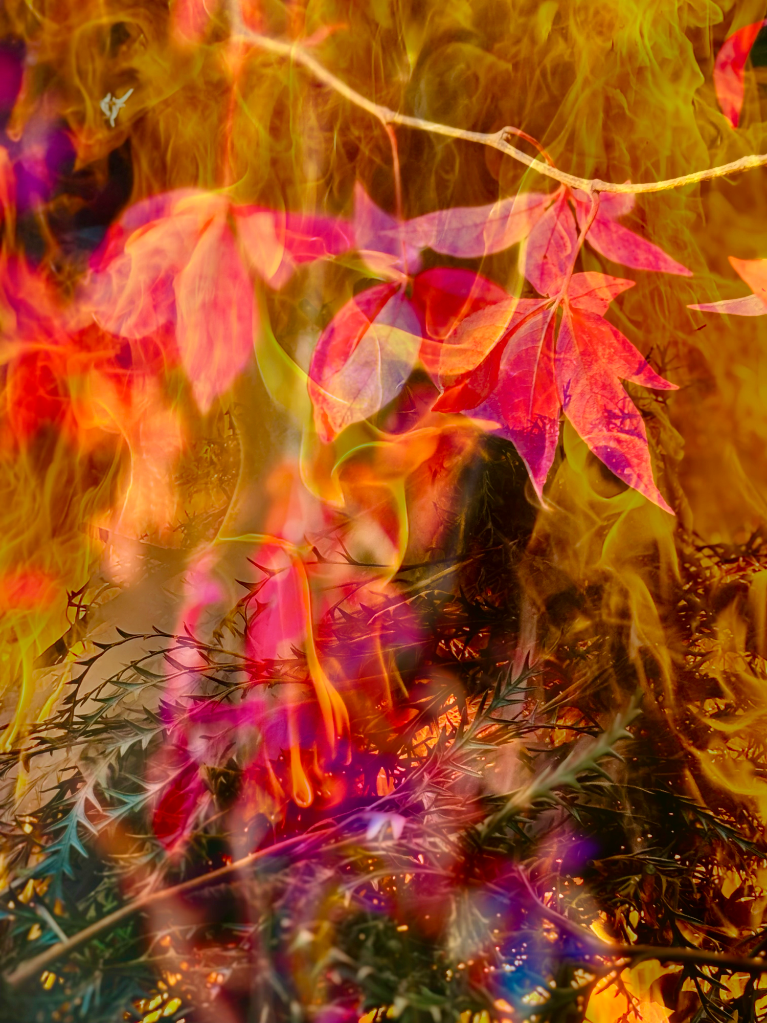 Autumn #2