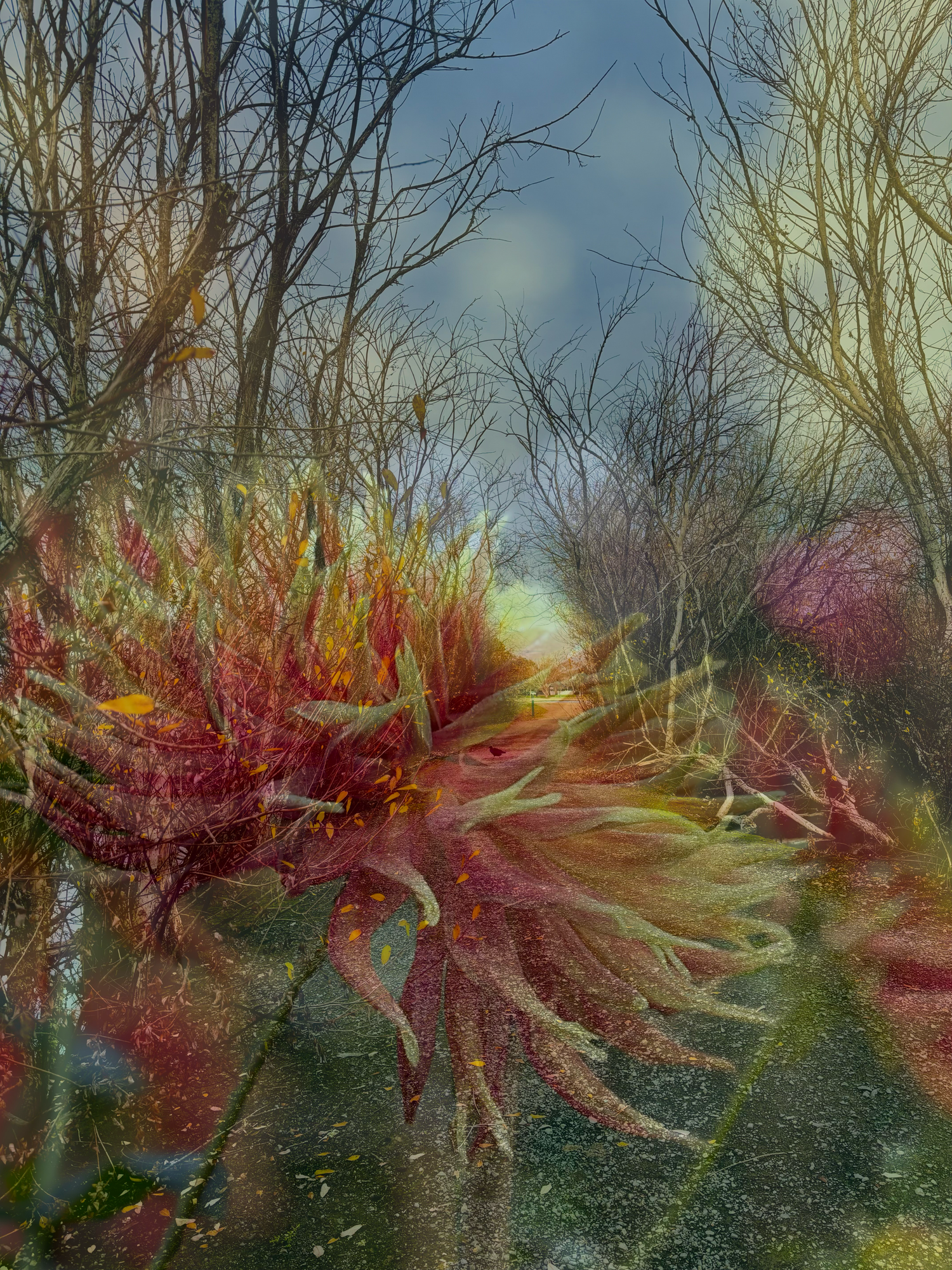 On the edge of the lake #2