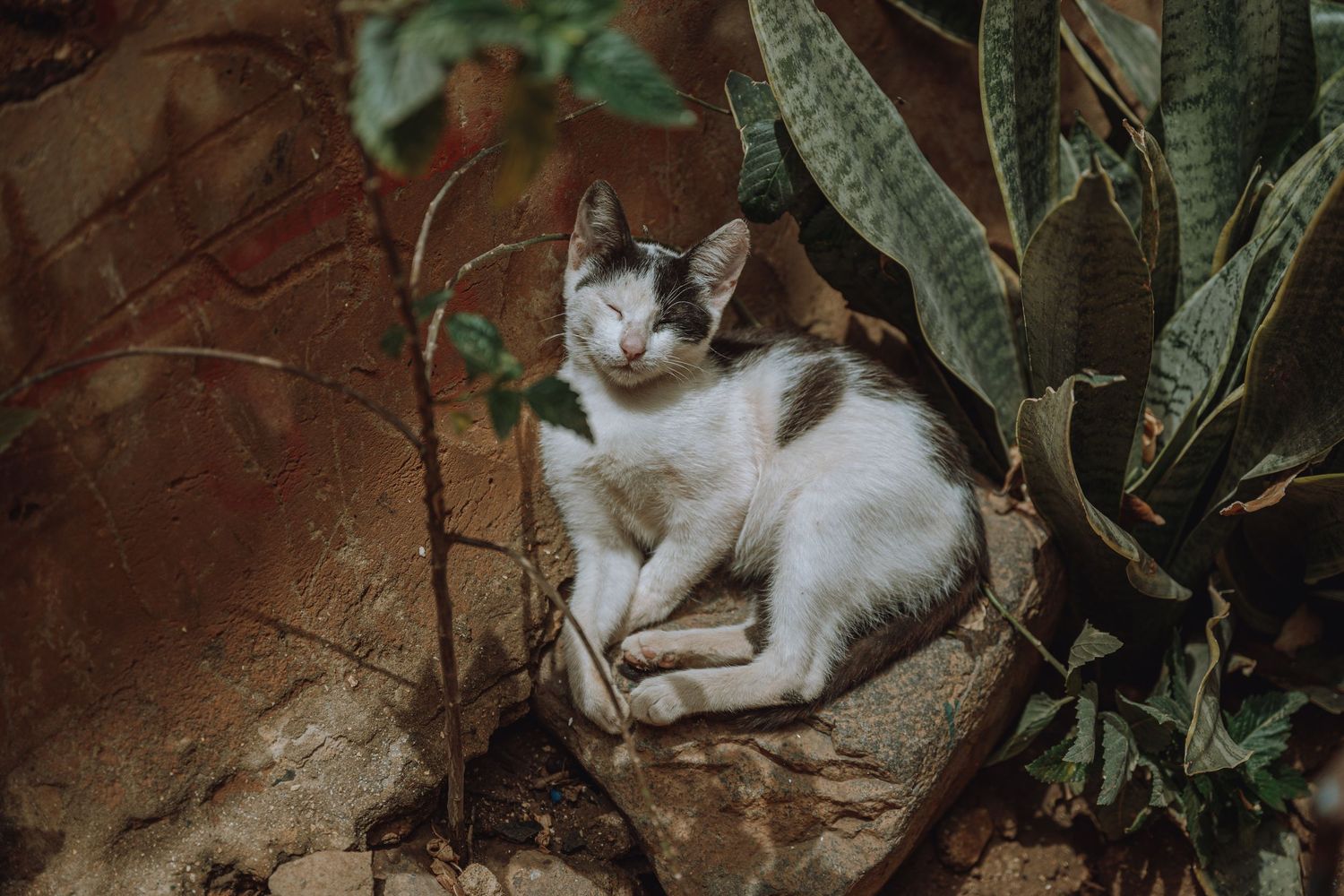Dakar, Senegal