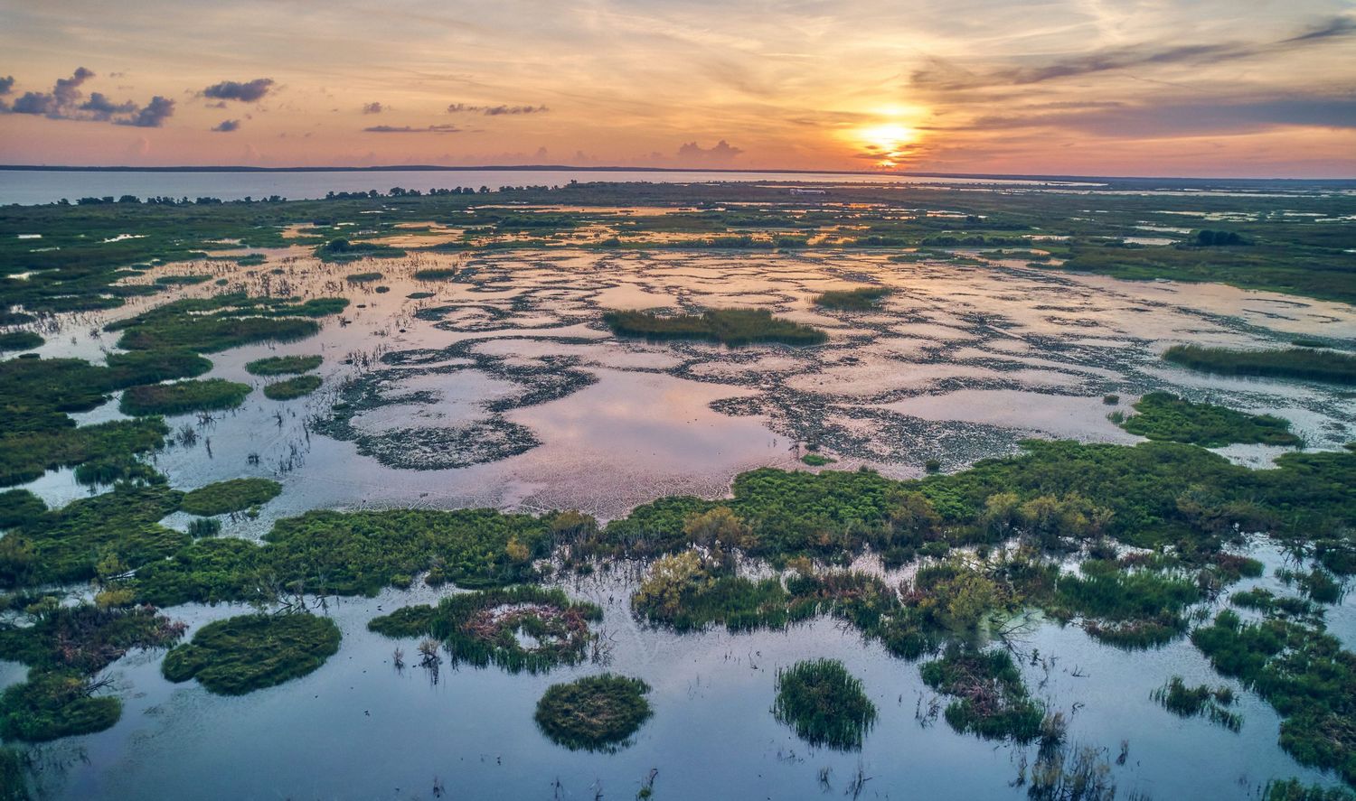 Lake Apopka