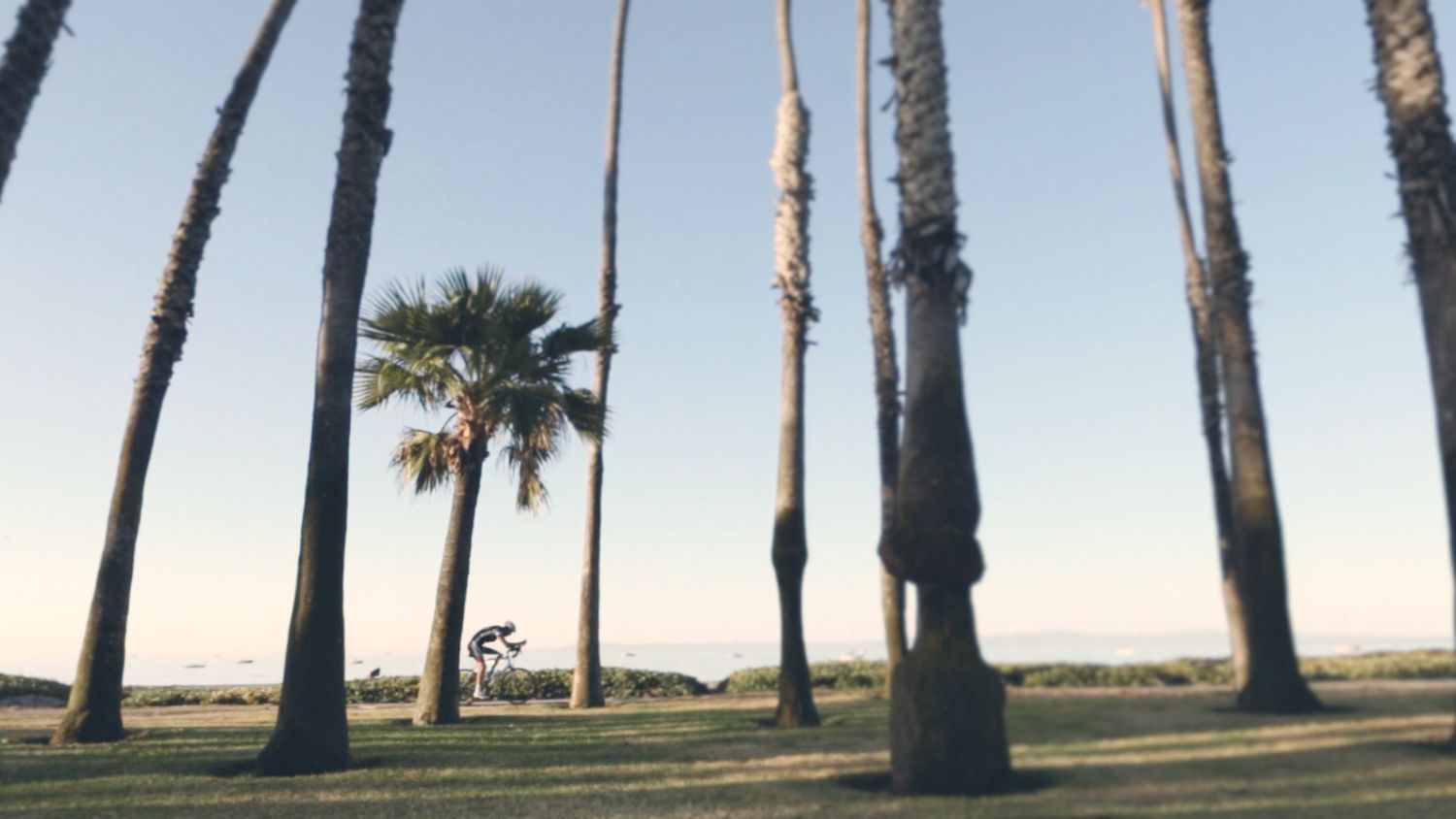 Cycling