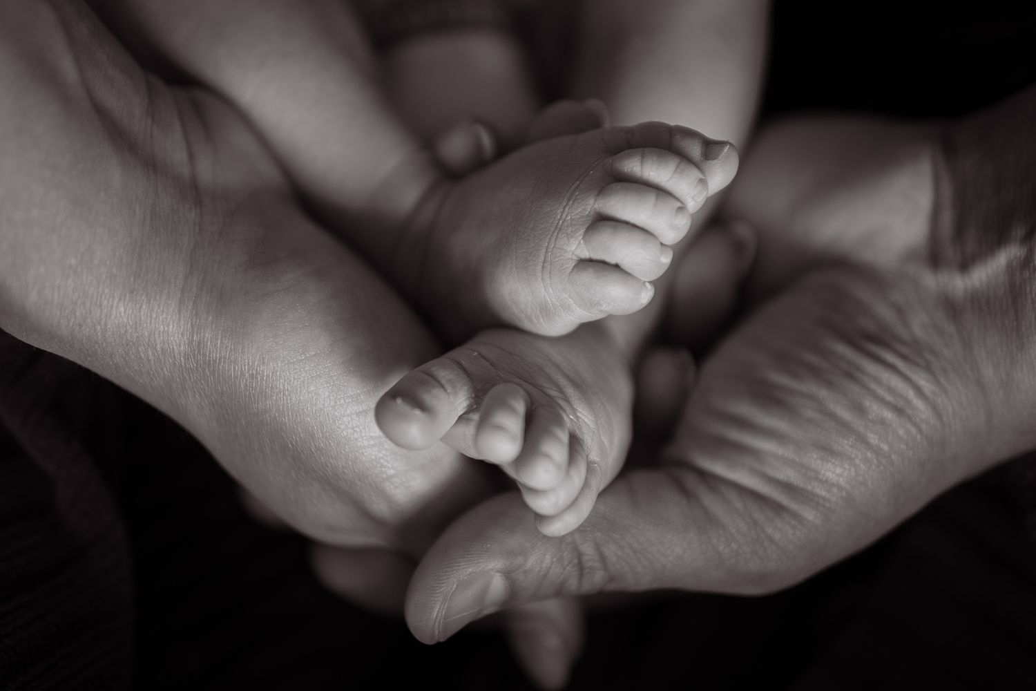 Black and white closeup photograph of tiny baby feet resting gently in adult hands.