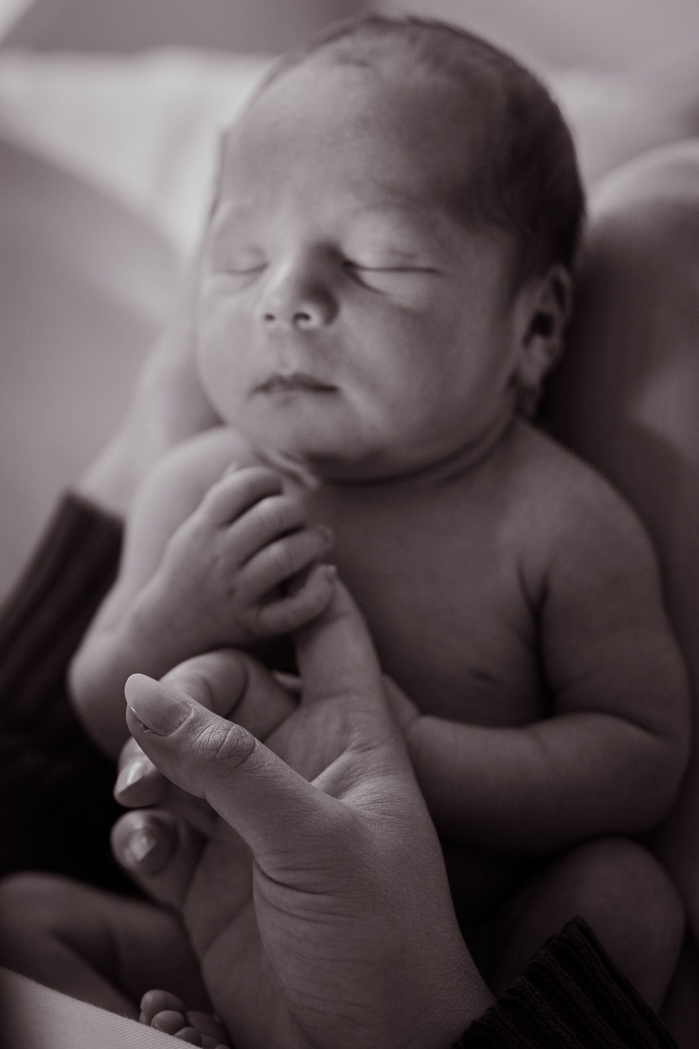Artistic black and white close-ups of sleeping newborn with gentle hand touches.