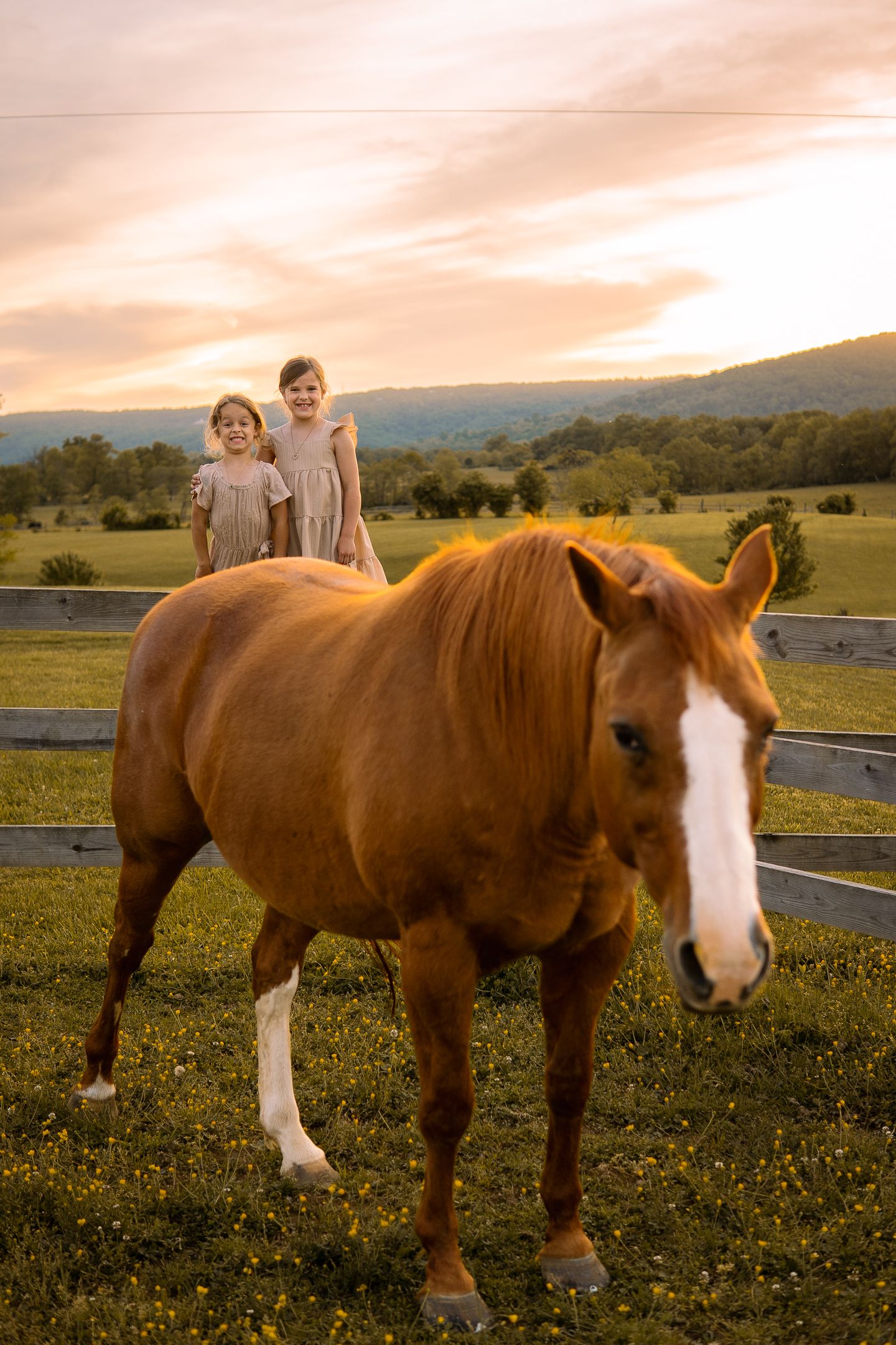 A brown horse with white markings stands in a pasture at sunset with rolling hills in the background and figures behind a fence.