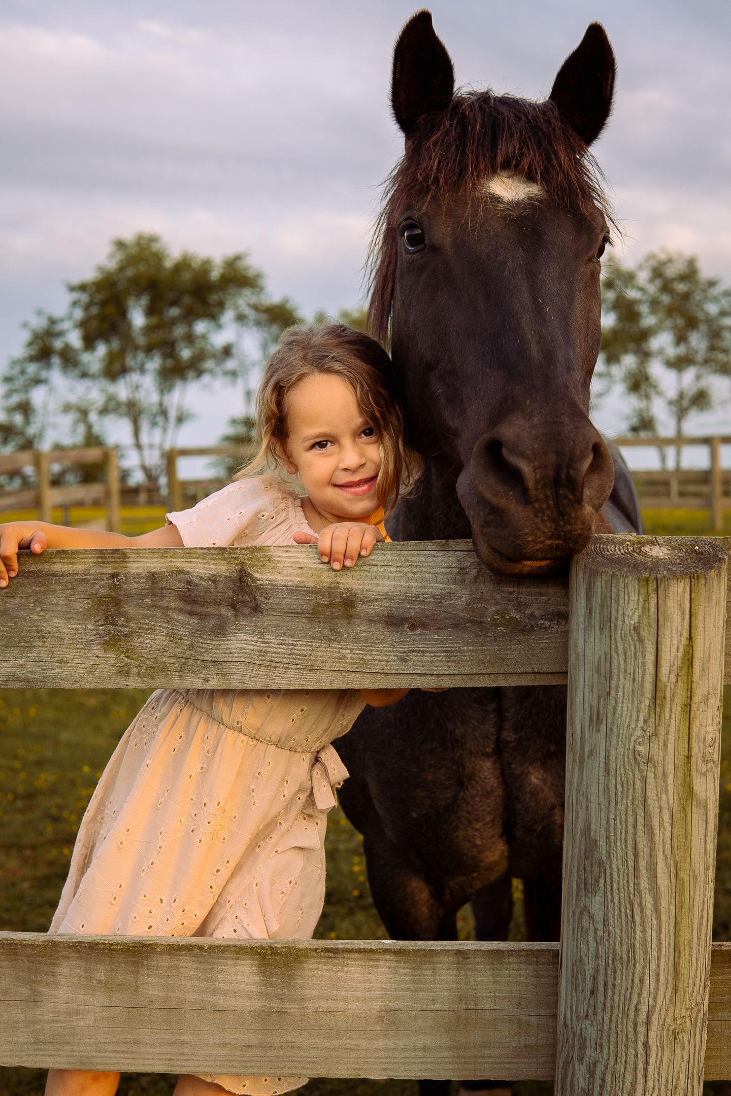 A dark brown horse and a child in a pink dress lean against a wooden fence at sunset.